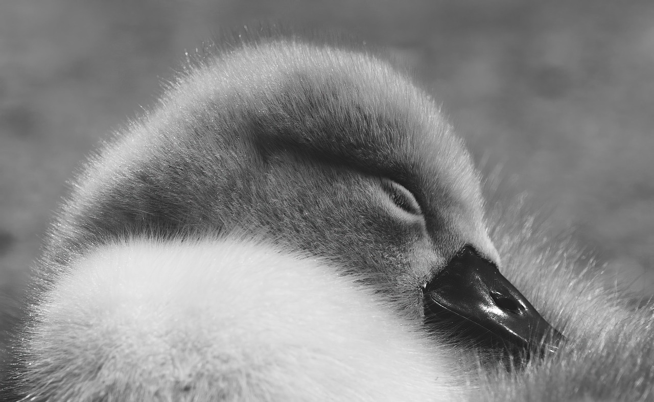 更年期の方が睡眠の質を上げるにはどうすればいい？