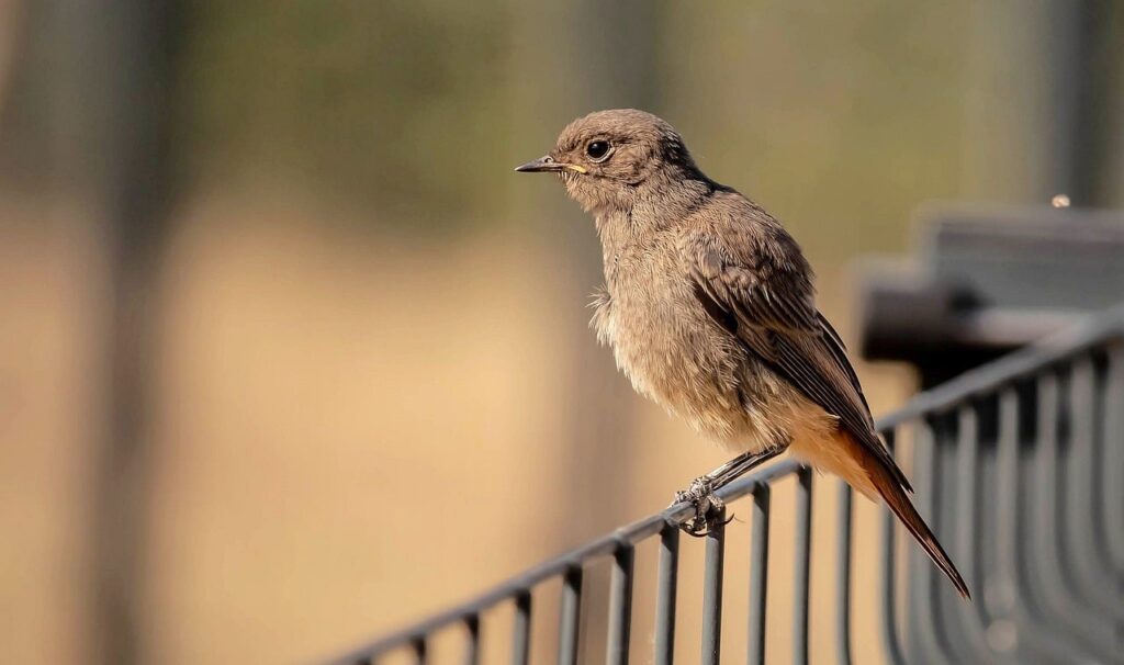 更年期中の冷えとり対策グッズはどれが効果的？