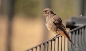 更年期中の冷えとり対策グッズはどれが効果的？