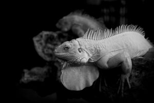 更年期と向き合うためのマインドセットとは？