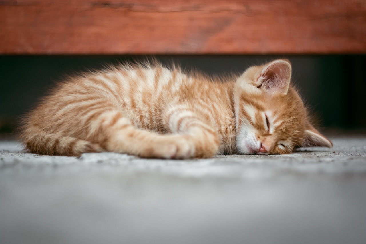 更年期と睡眠の質を向上させる改善法は？