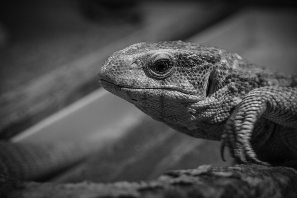 更年期におすすめの入浴法とは？