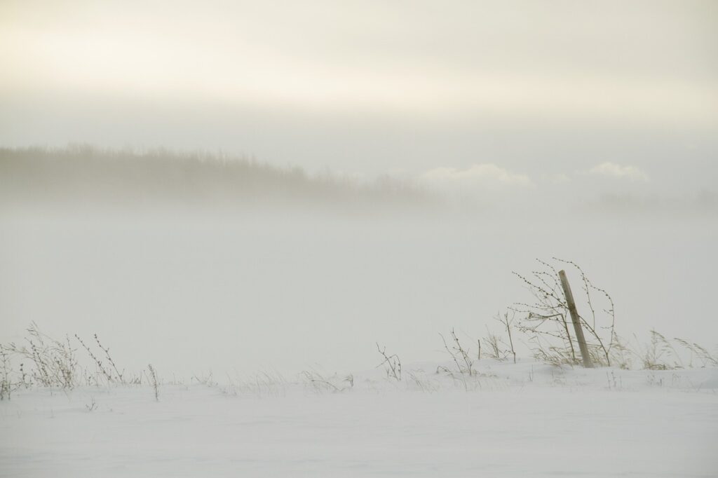 更年期の不調に対するビタミンEの効果は？