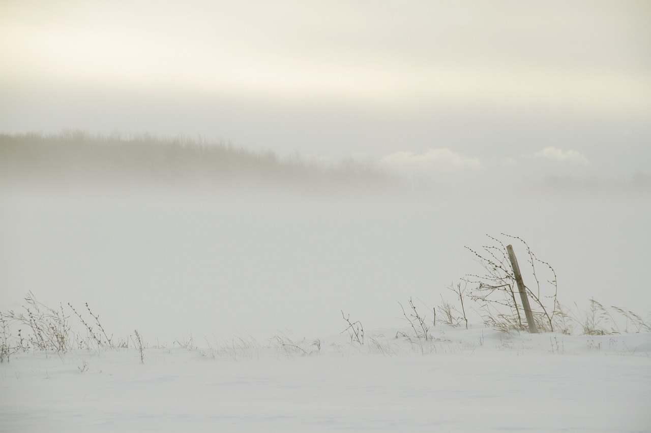 更年期の不調に対するビタミンEの効果は？