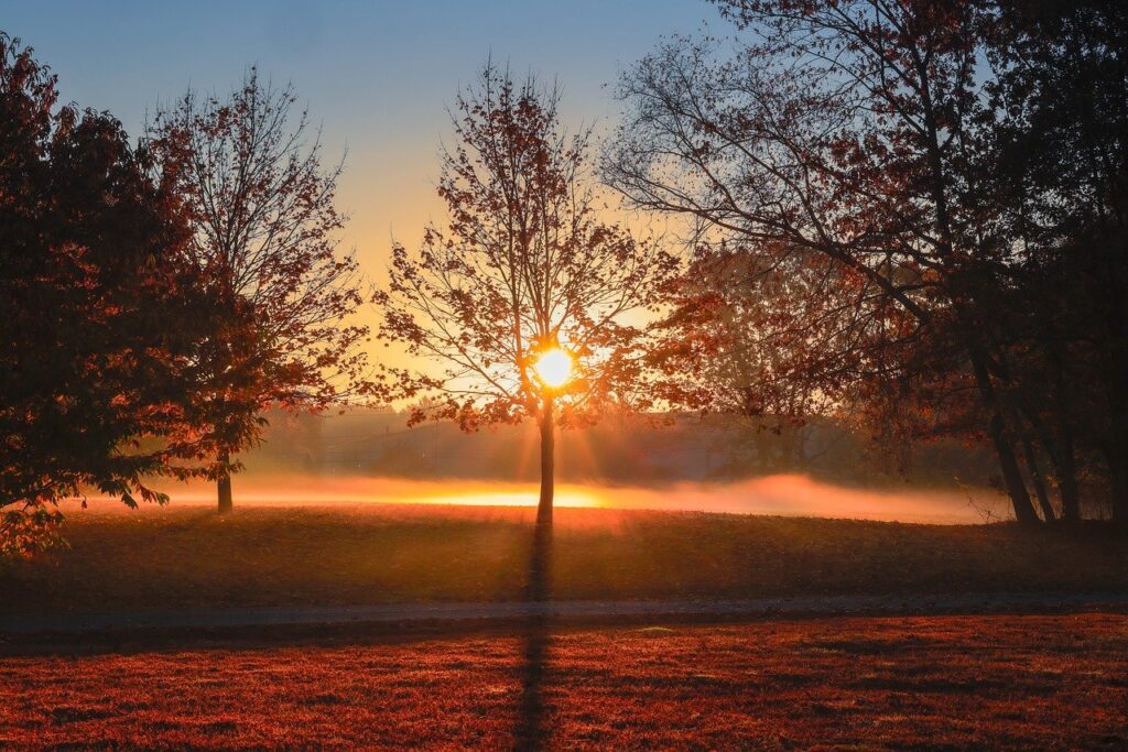 更年期における免疫力低下の原因と対策は？