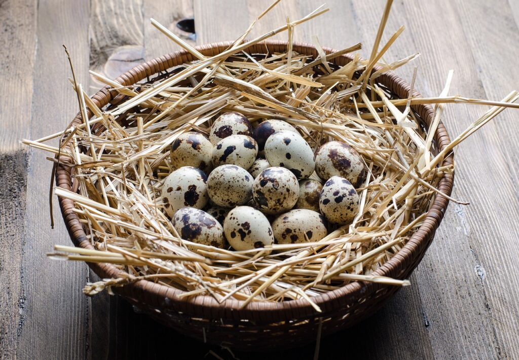 更年期にコレステロールが増える原因と対策は？