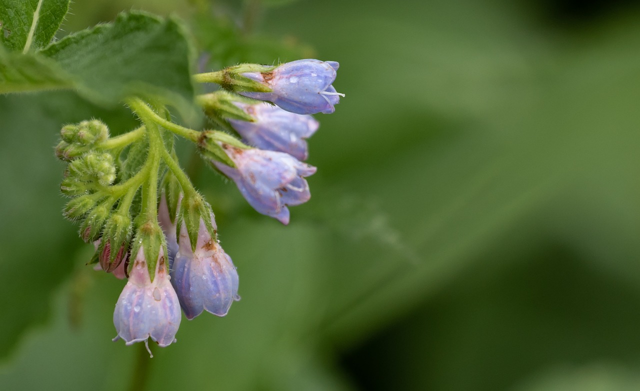 更年期にニキビが増えた原因と対策は？