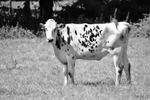 プレ更年期は何歳から始まるのか知っていますか？