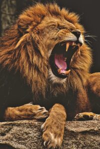 更年期に膀胱炎が繰り返す原因と対策は？