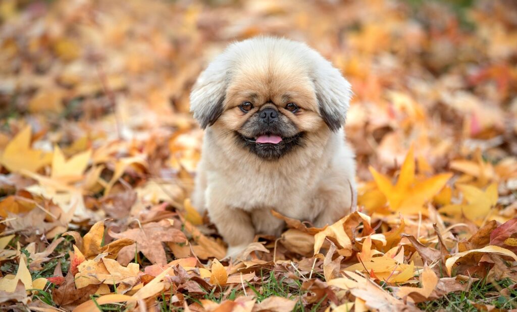 更年期におけるマッサージの効果とは？