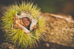 更年期の怒りっぽさを治したいあなたへ、効果的な対策は？